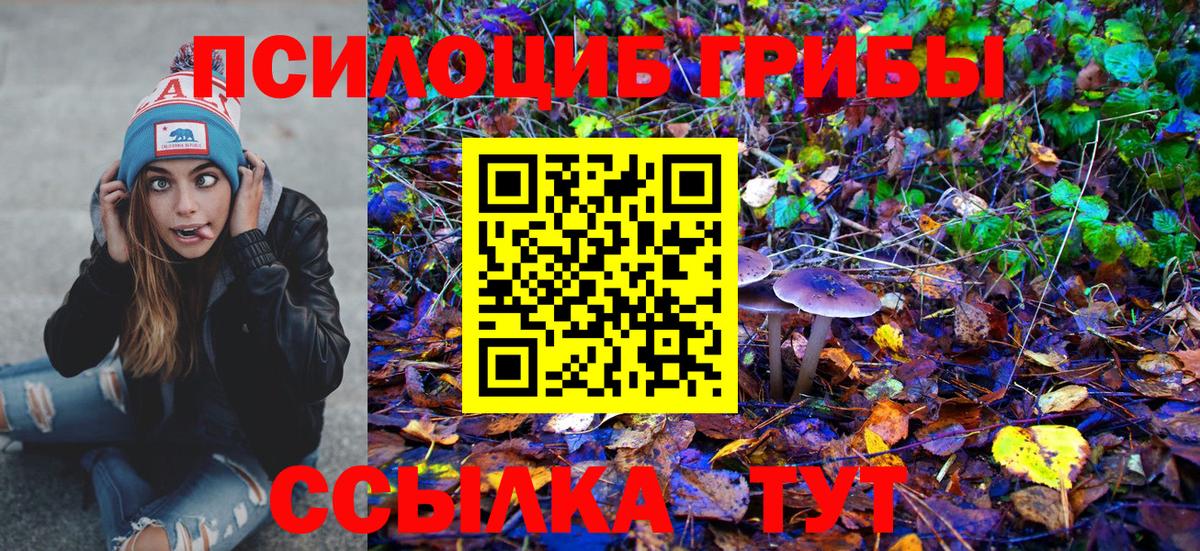 Галлюциногенные грибы MAGIC MUSHROOMS Балашиха