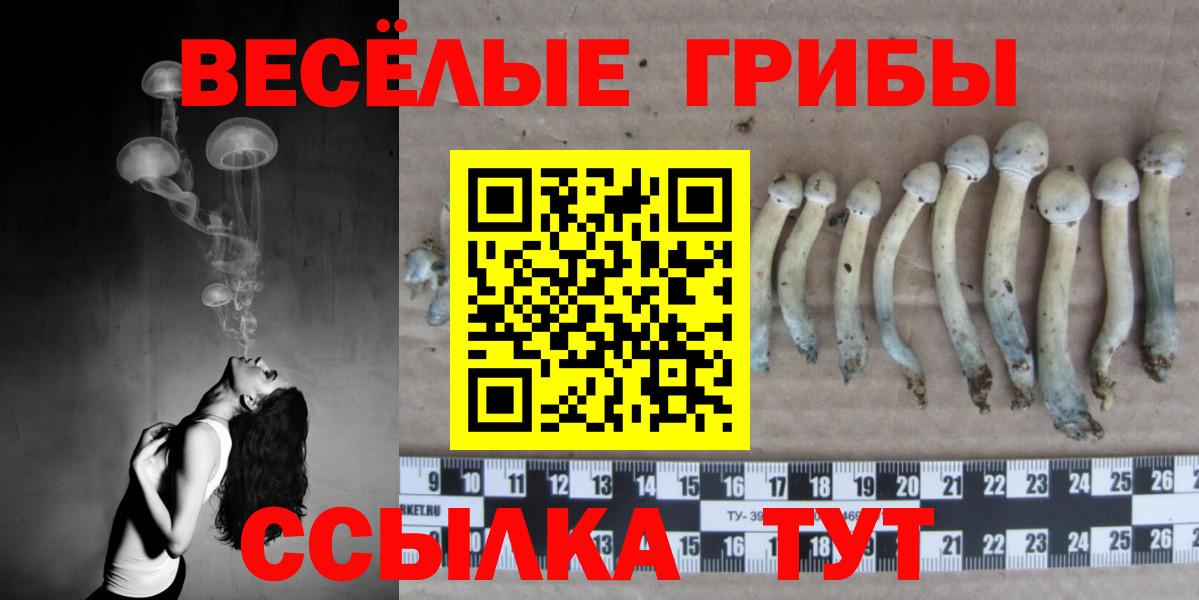 Галлюциногенные грибы Cubensis  Псилоцибиновые грибы Cubensis  Балашиха  Вход с VPN 