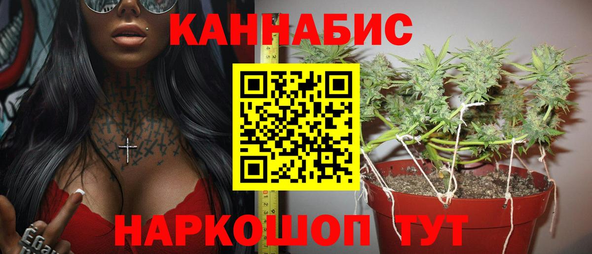 Бошки марихуана ГИДРОПОН Балашиха